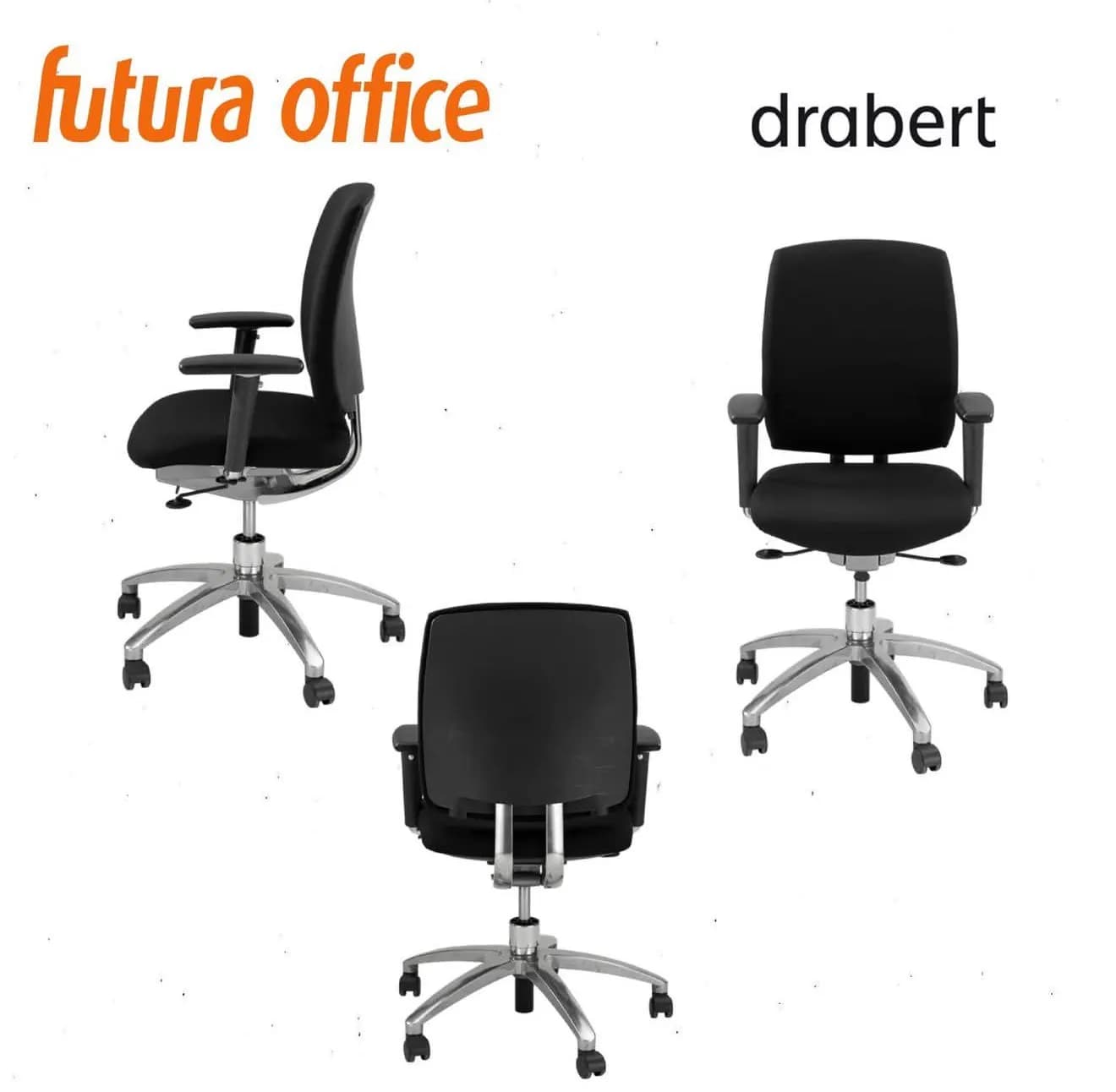 Karrige Zyre Ergonomike